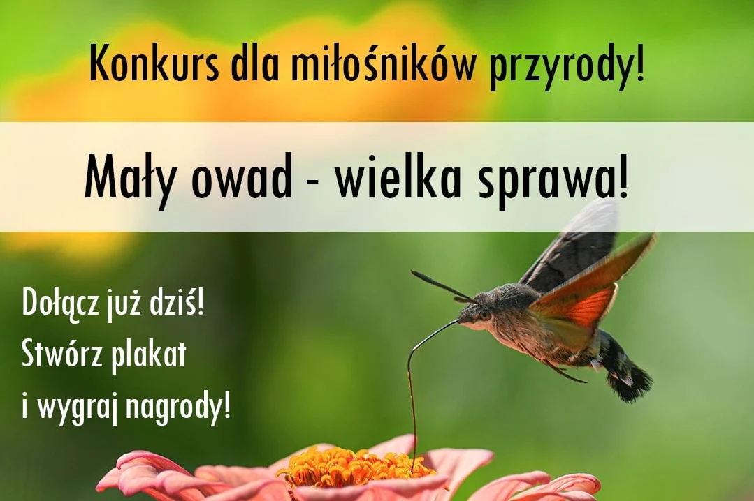 Mały owad – wielka sprawa. Ruszył konkurs edukacyjny w Parku Śląskim
