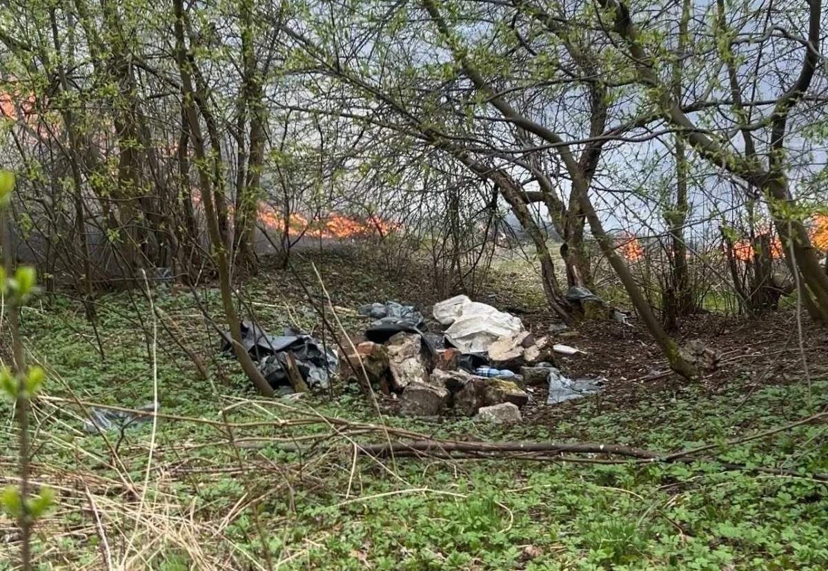 Pożar traw przy hałdzie Ajska w Świętochłowicach