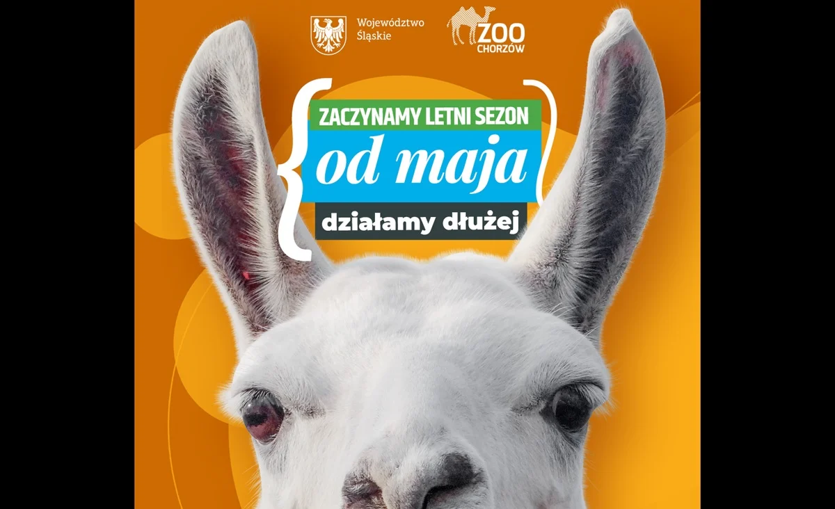 Śląskie ZOO przechodzi w tryb letni. Od maja będzie otwarte dłużej