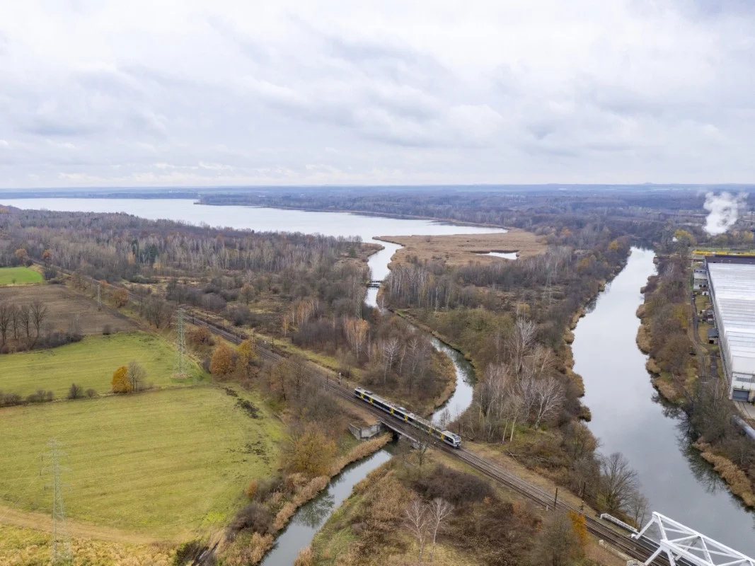 Przyrodnicze skarby Gliwic. Otwarte spacery po łąkach i ujściu Kłodnicy