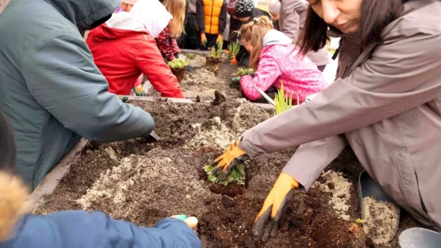 26 nowych ogrodów deszczowych w Metropolii. Program wystartował w Będzinie