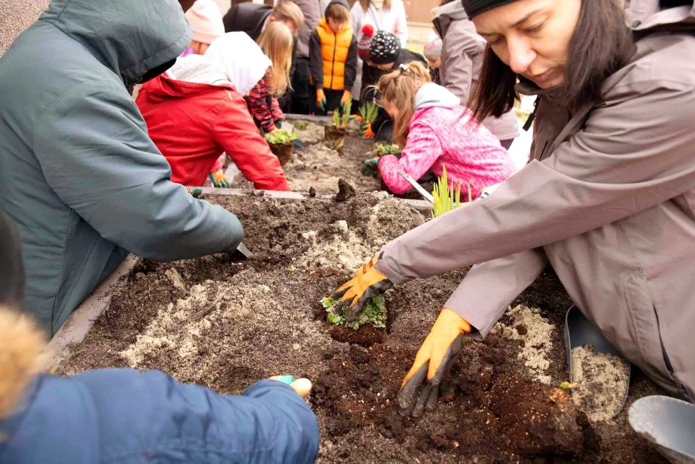 26 nowych ogrodów deszczowych w Metropolii. Program wystartował w Będzinie