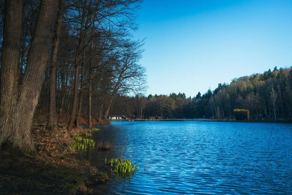 Nie masz planów na weekend? Wodzisław Śląski przygotował sporo atrakcji