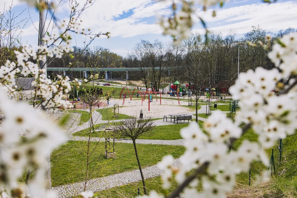 Zaplanuj swój weekend w Wodzisławiu Śląskim