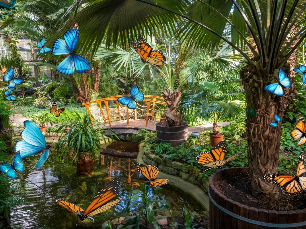 Egzotyczna atrakcja w Gliwicach! Motyle z różnych zakątków świata już wkrótce w Palmiarni