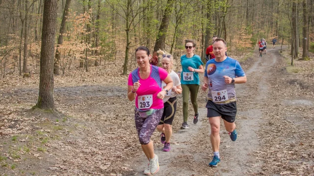 Panewnicki Bieg Dzika – kwiecień 2026. Bieg, las, a wiosnę czuć w powietrzu! [GALERIA ZDJĘĆ]