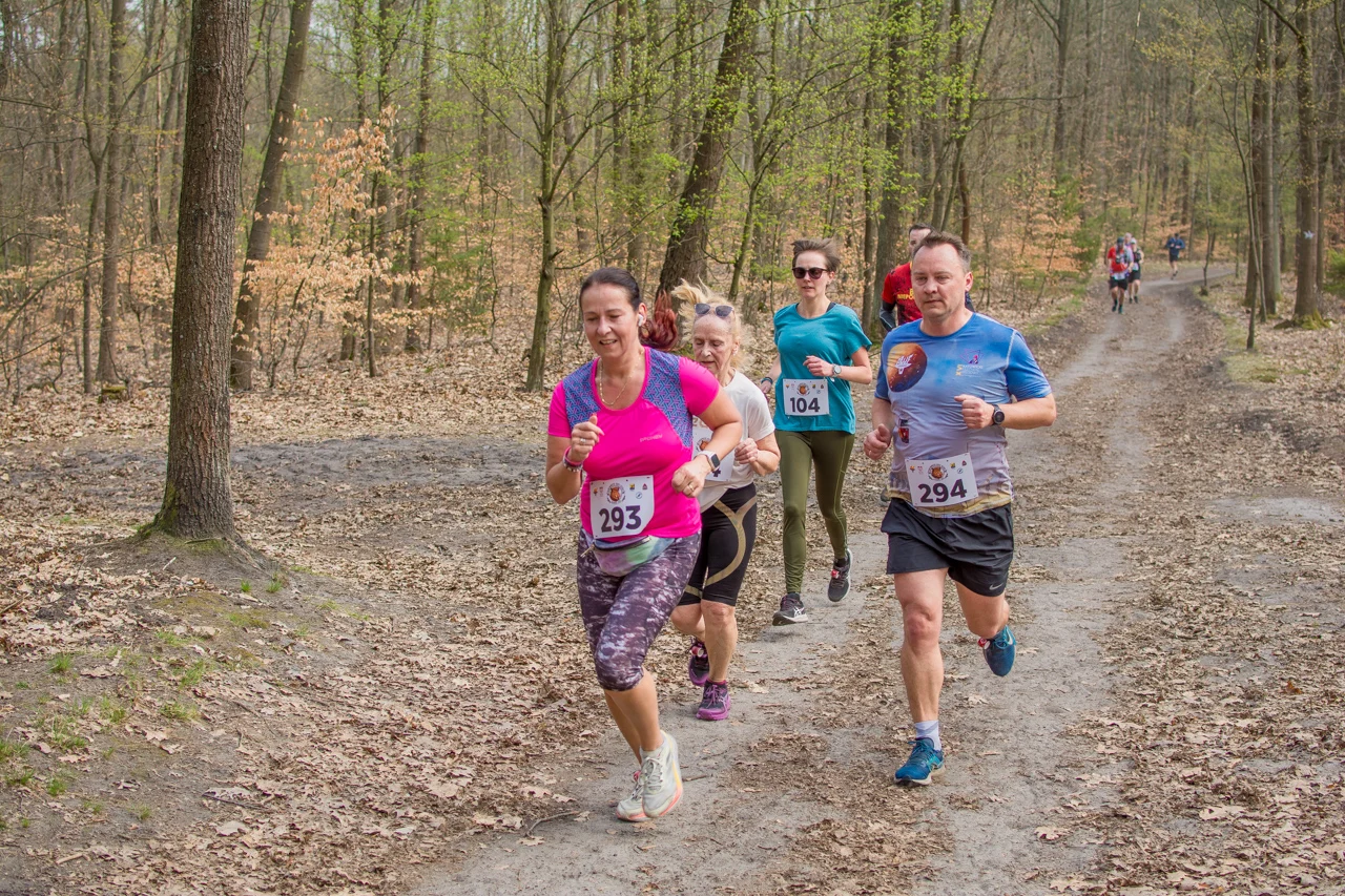 Panewnicki Bieg Dzika – kwiecień 2026. Bieg, las, a wiosnę czuć w powietrzu! [GALERIA ZDJĘĆ]