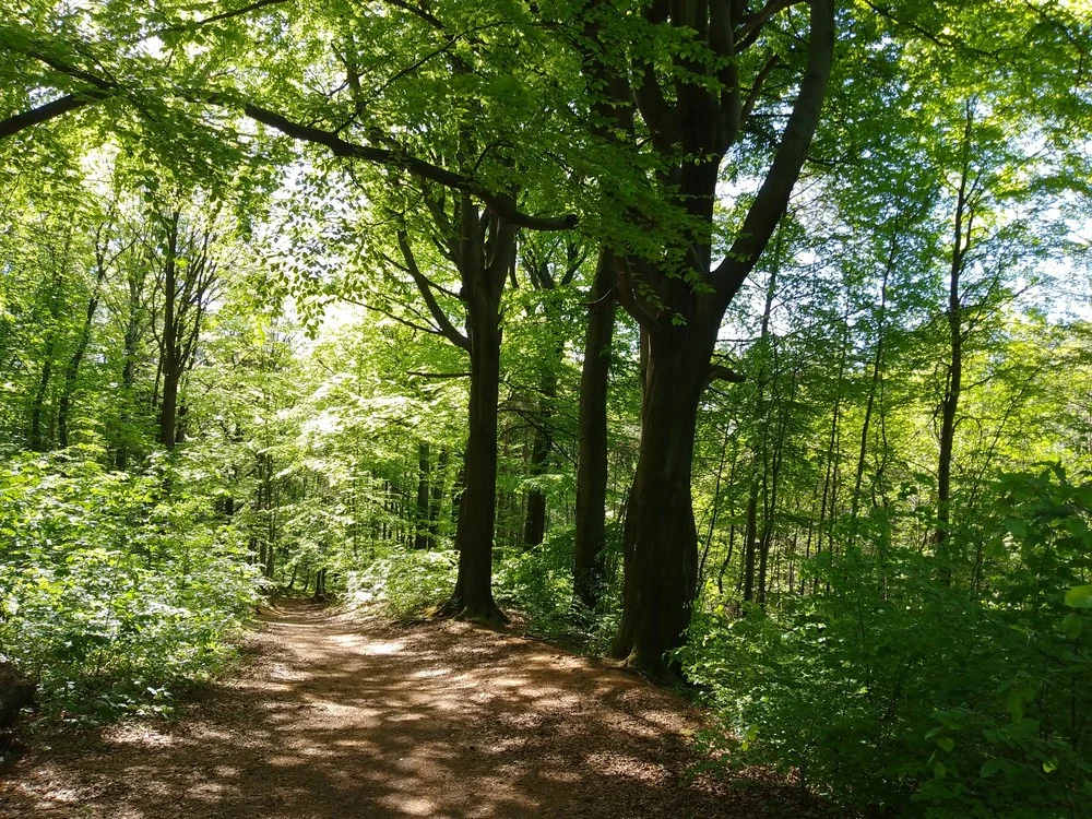 „Biegiem po kawę” w Bytomiu. Bieg w Segiecie i dwie bezpłatne prelekcje