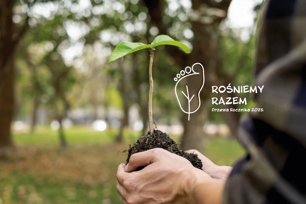 W Gliwicach dzieci będą miały swoje drzewa! Rusza niezwykła akcja Rośniemy Razem