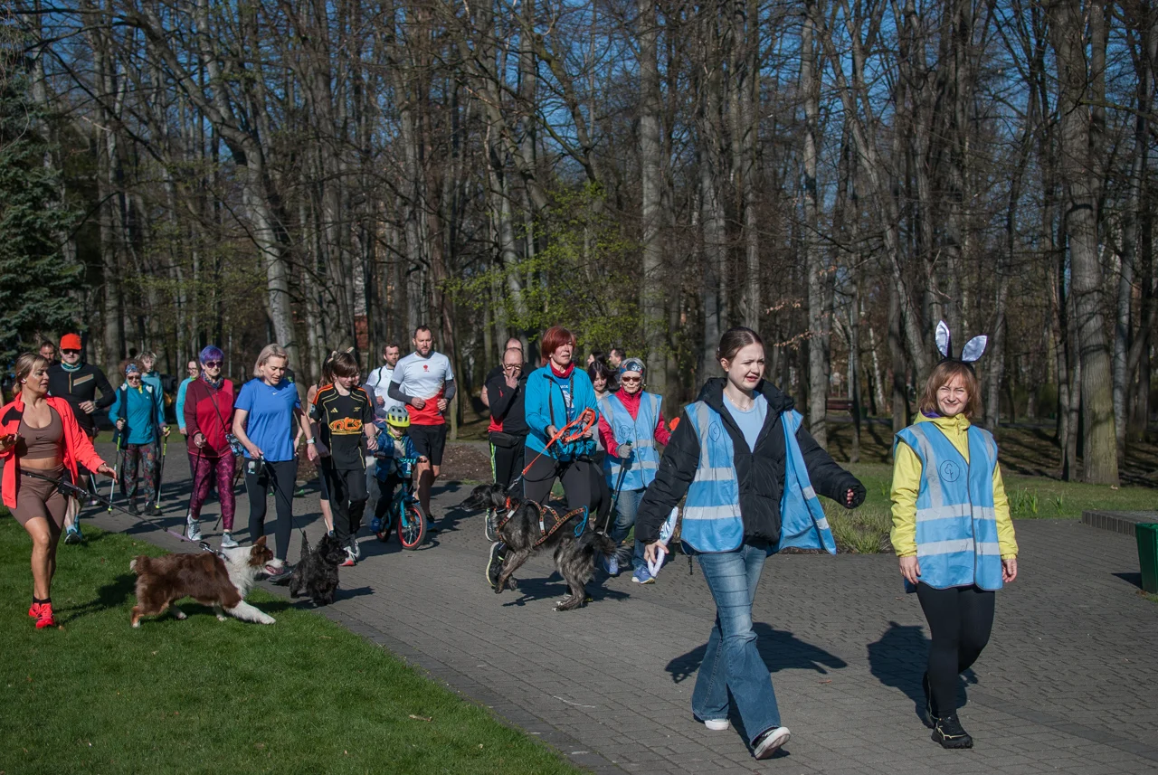 Świąteczny parkrun w Katowicach. Wspólne bieganie i pomoc dla schroniska (21)