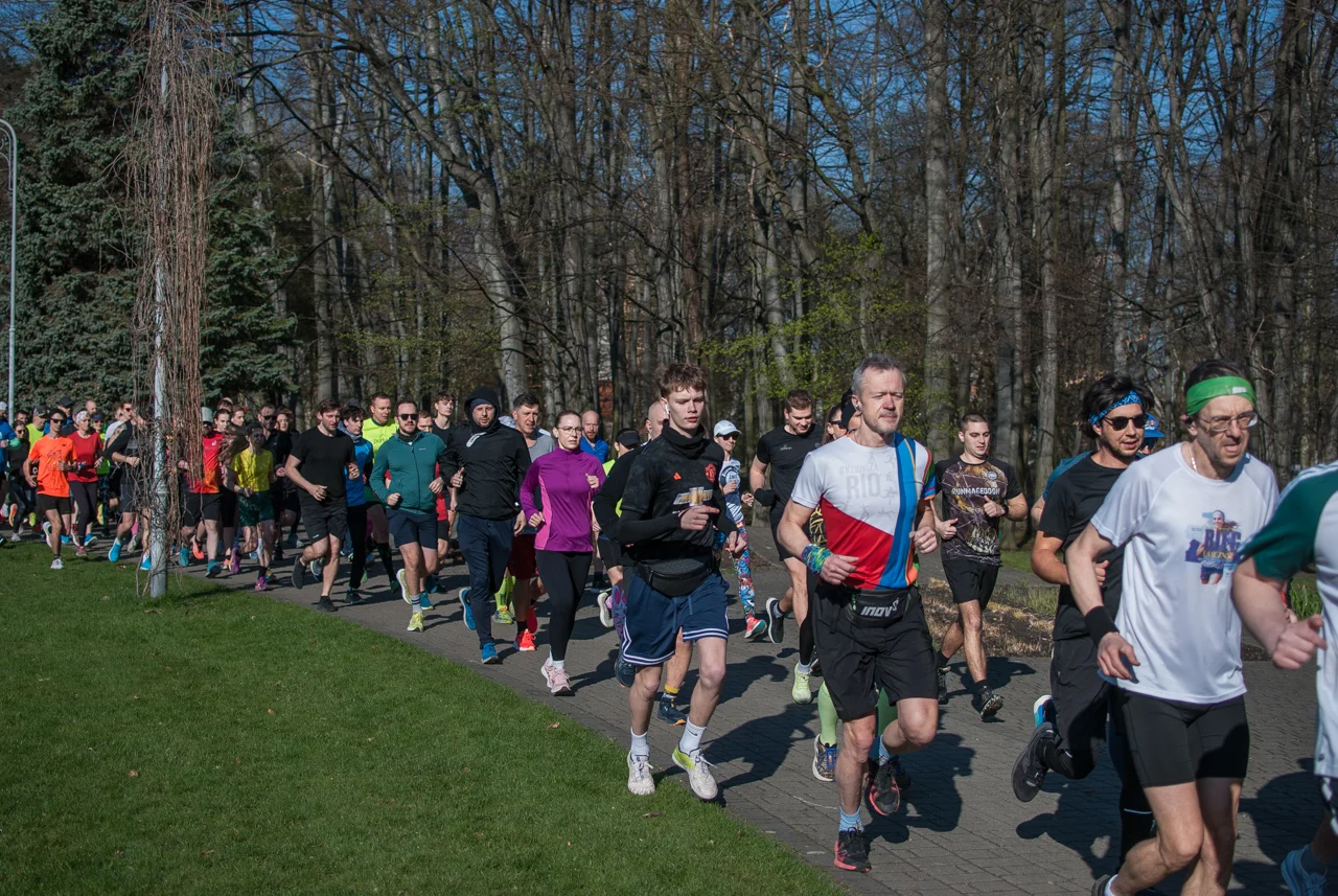 Świąteczny parkrun w Katowicach. Wspólne bieganie i pomoc dla schroniska (5)