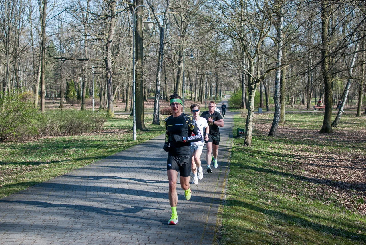 Świąteczny parkrun w Katowicach. Wspólne bieganie i pomoc dla schroniska (58)