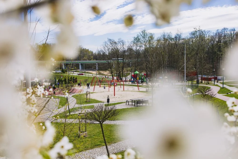 Weekend w Wodzisławiu. Teatr, Food Fest, kino i jarmark staroci