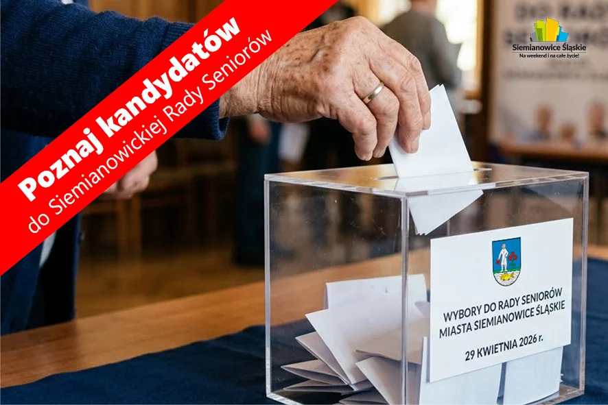 Twoje miasto, Twój głos – Seniorzy wybierają swoją radę!