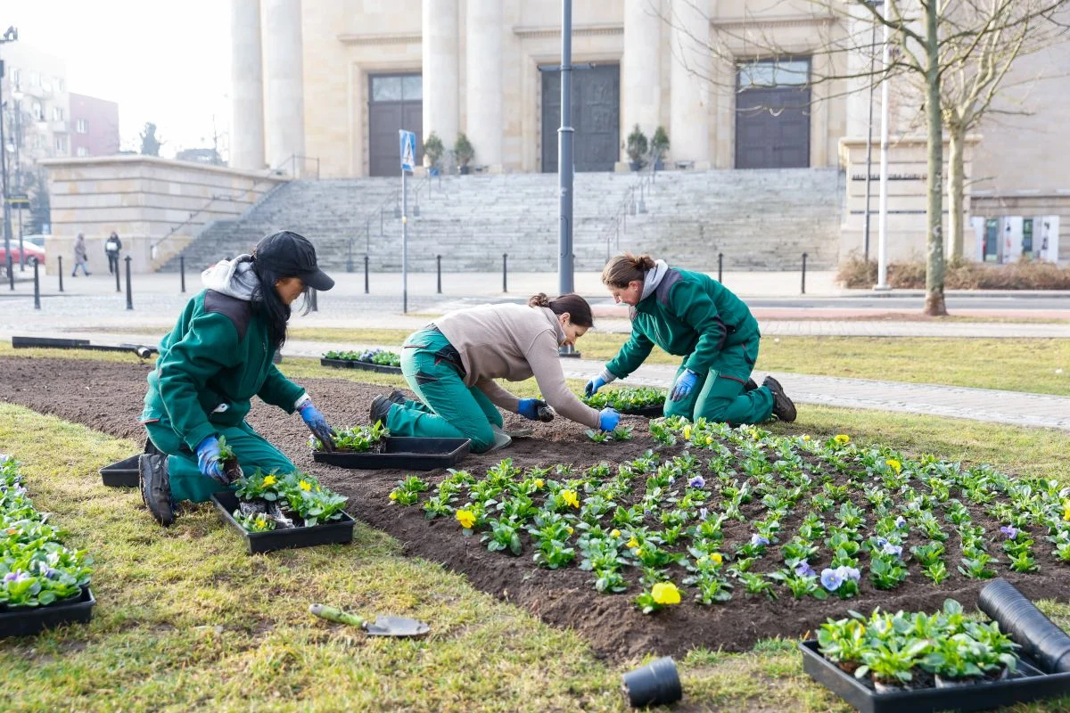 Wiosenne porządki w Katowicach. Setki pracowników ruszyły do pracy