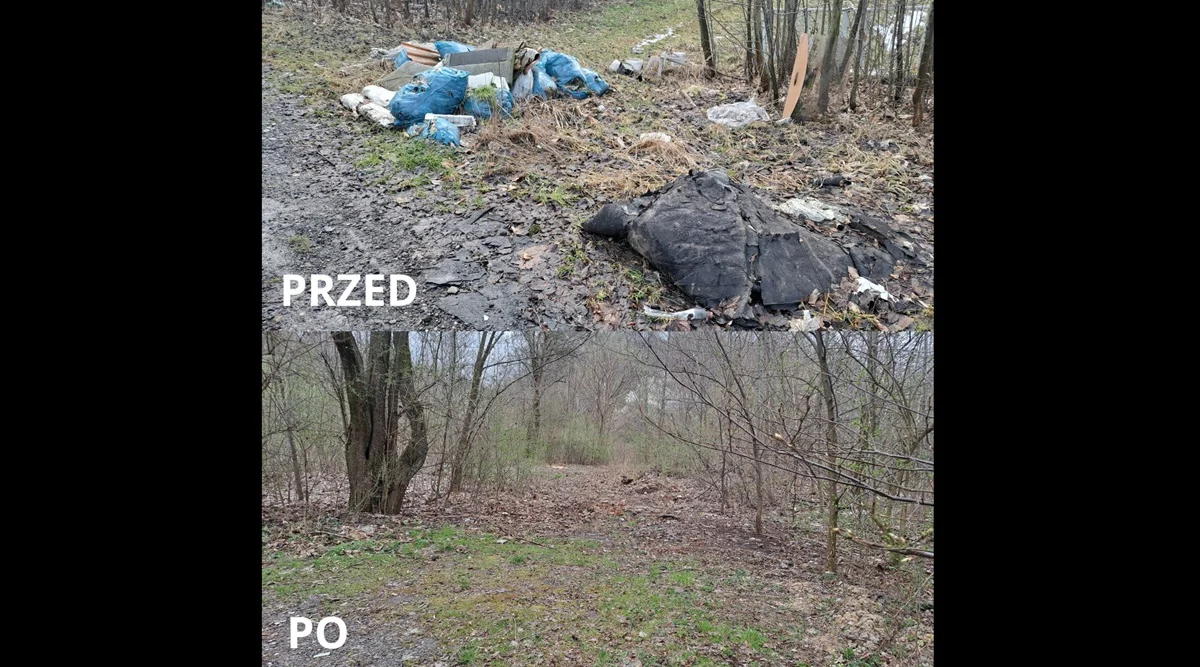 Miasto usunęło ponad 15 ton śmieci z jednego nielegalnego wysypiska