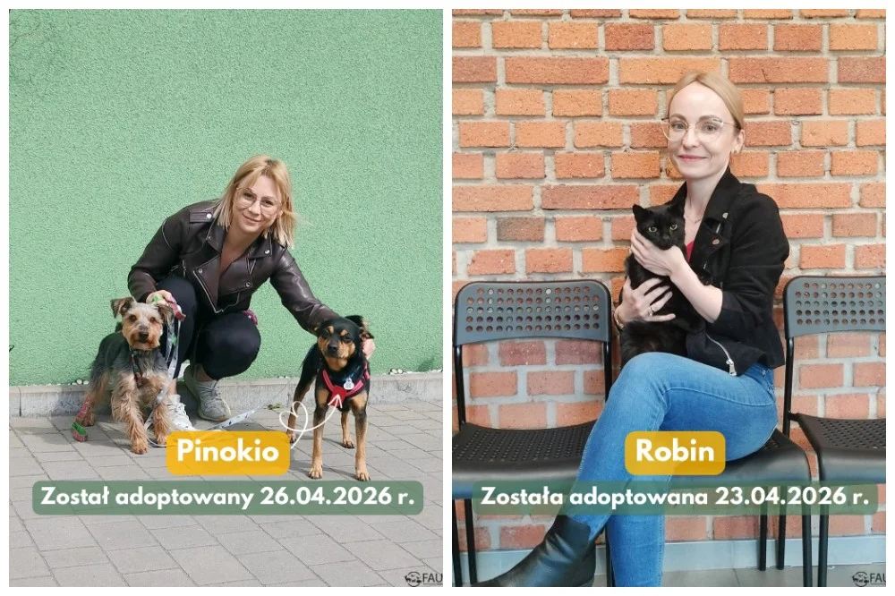Znalazły dom – kolejne czworonogi z „Fauny” mają nowych właścicieli