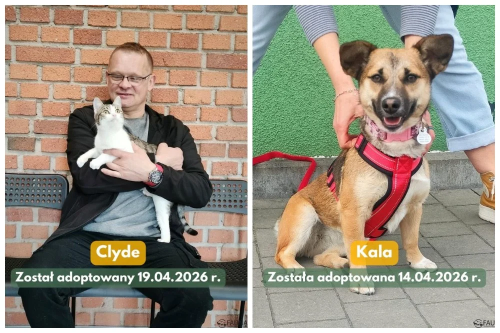 Kolejnych 6 podopiecznych „Fauny” opuściło schronisko