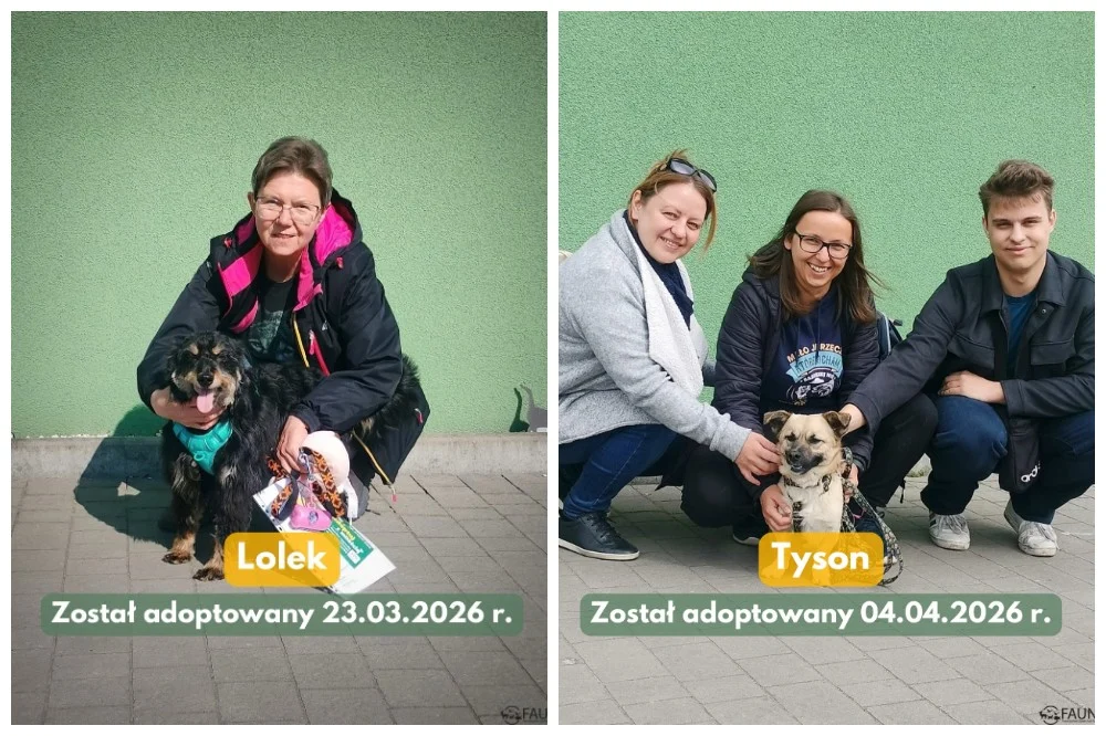 Kolejni schroniskowi podopieczni trafili do nowych domów!
