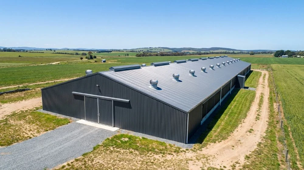 Kurnik stalowy - koszt budowy, rodzaje i kluczowe parametry dla hodowców drobiu