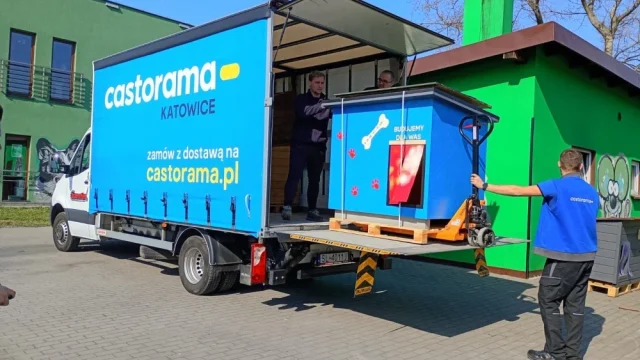 15 nowych bud dla psów w Rudzie Śląskiej – wspólna akcja Castorama Polska i Fundacji Team Litewka