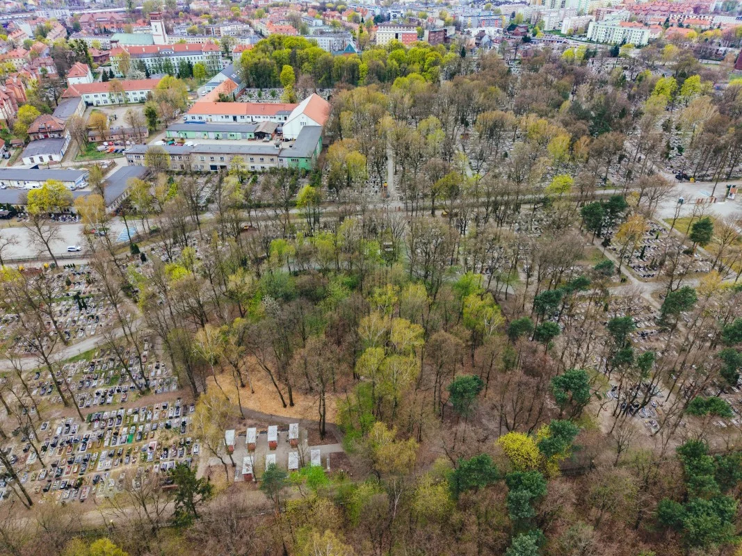 Na Cmentarzu Lipowym powstaje zupełnie nowa przestrzeń pamięci – sektor ekologiczny