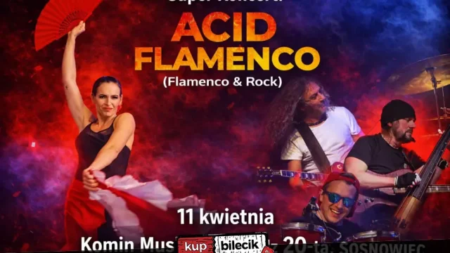 Koncert Acid Flamenco w Komin Music Cafe w Sosnowcu