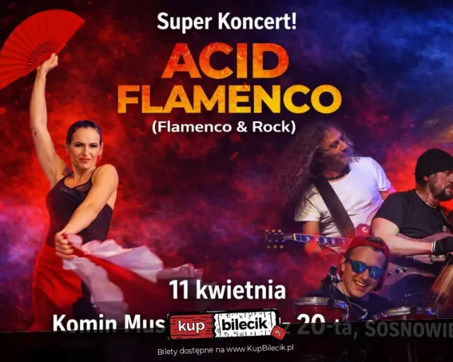 Koncert Acid Flamenco w Komin Music Cafe w Sosnowcu