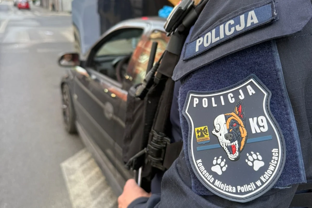 Katowiccy przewodnicy psów zatrzymali multirecydywistę w kradzionym samochodzie