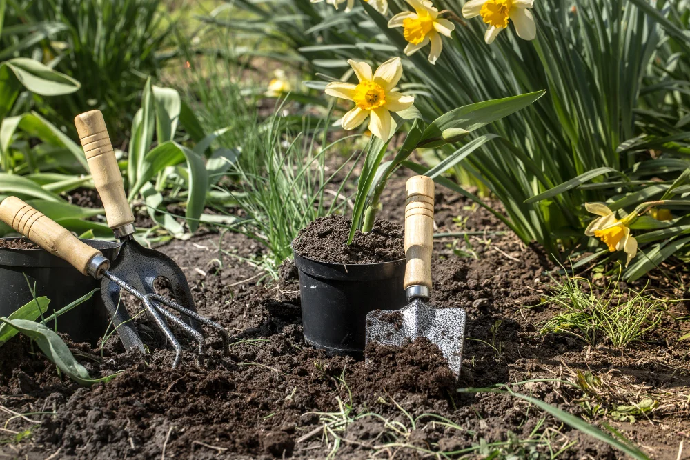 Dotacje dla ROD w Chorzowie. Do 10 tys. zł na inwestycje w ogrodach działkowych