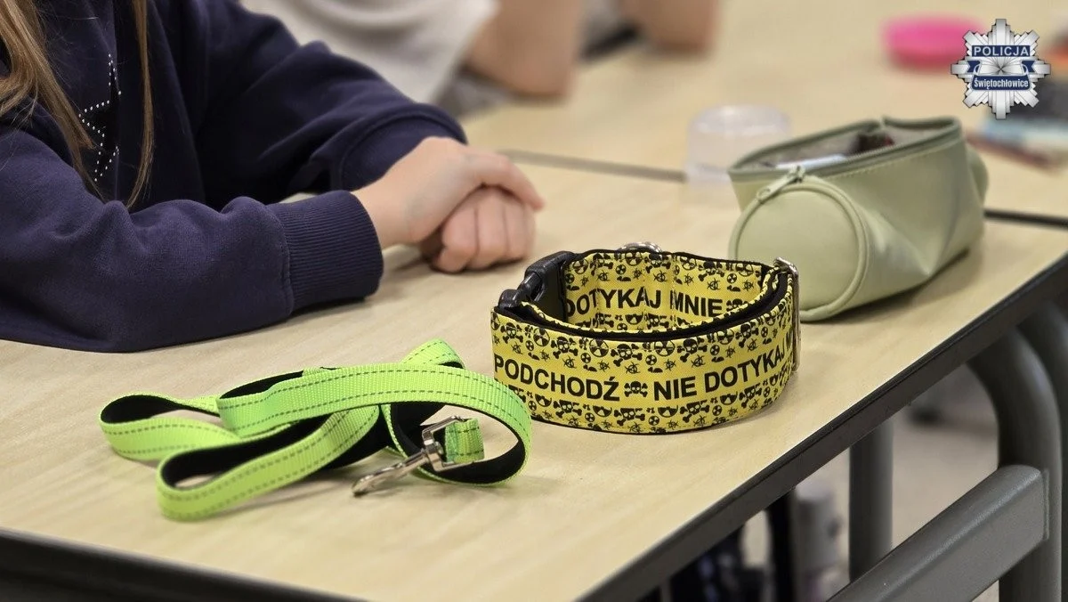 Bezpieczny kontakt ze zwierzętami. Policjanci spotkali się z uczniami SP nr 8 / fot. KMP Świętochłowice
