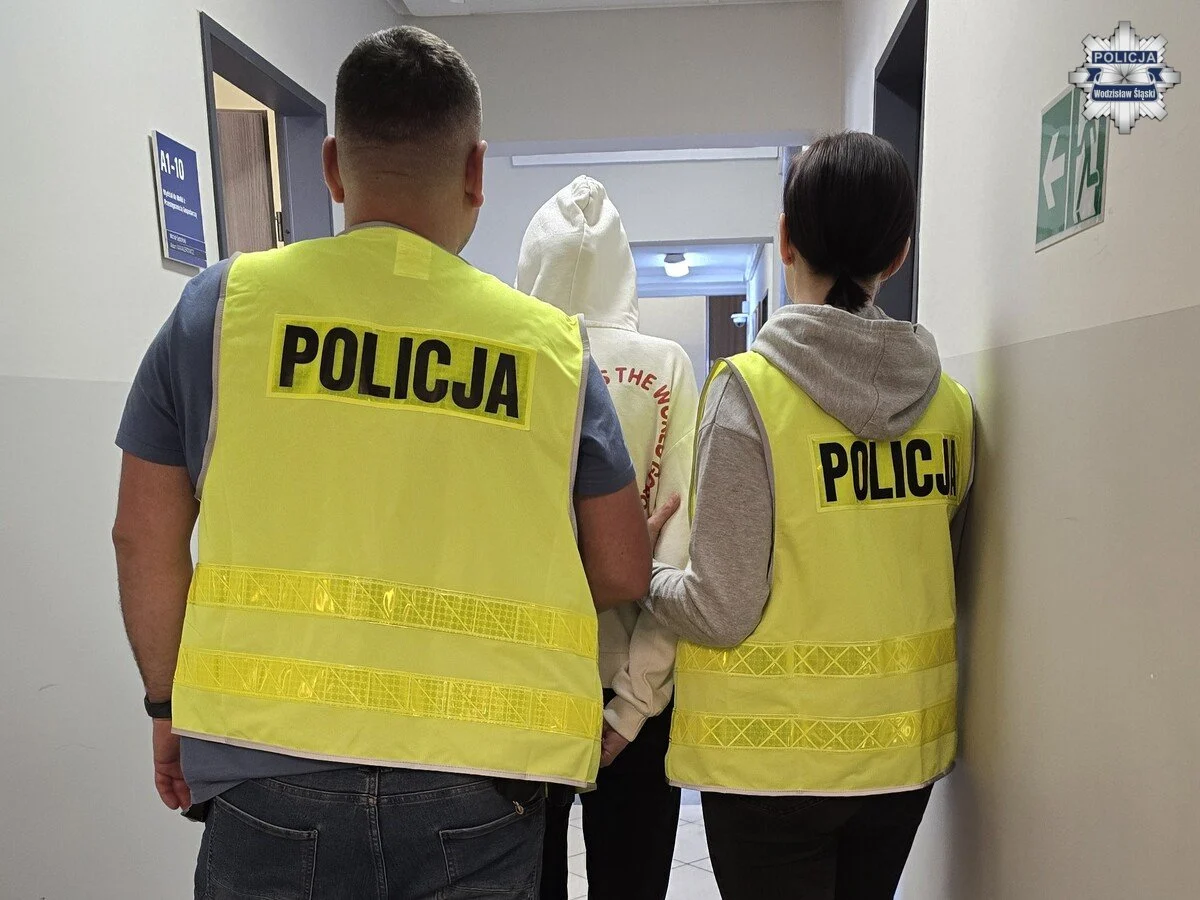 Węglowy oszustwa na ponad 20 mln zł. Zatrzymano trzy osoby z Wodzisławia Śląskiego