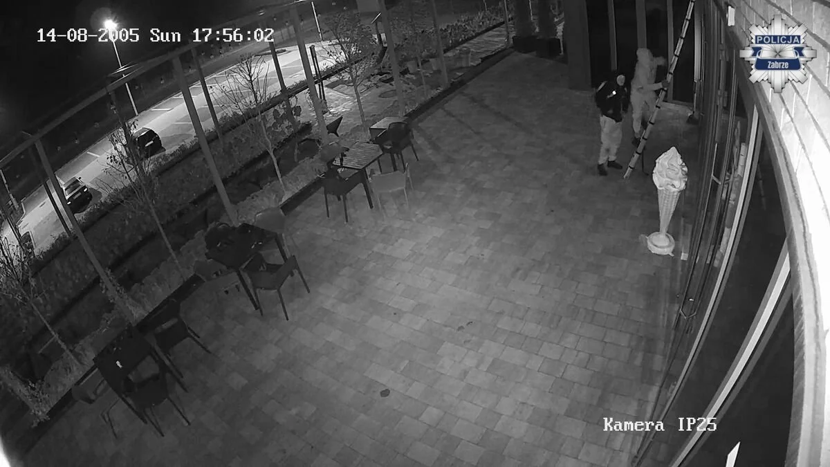 Kradzież z włamaniem przy ulicy Piekarniczej 5 / fot. KMP Zabrze