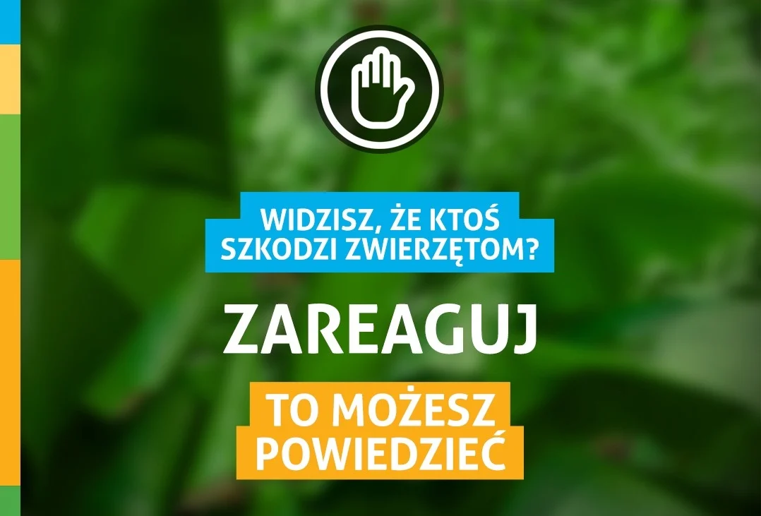 Śląskie ZOO apeluje do odwiedzających: reaguj, gdy ktoś szkodzi zwierzętom