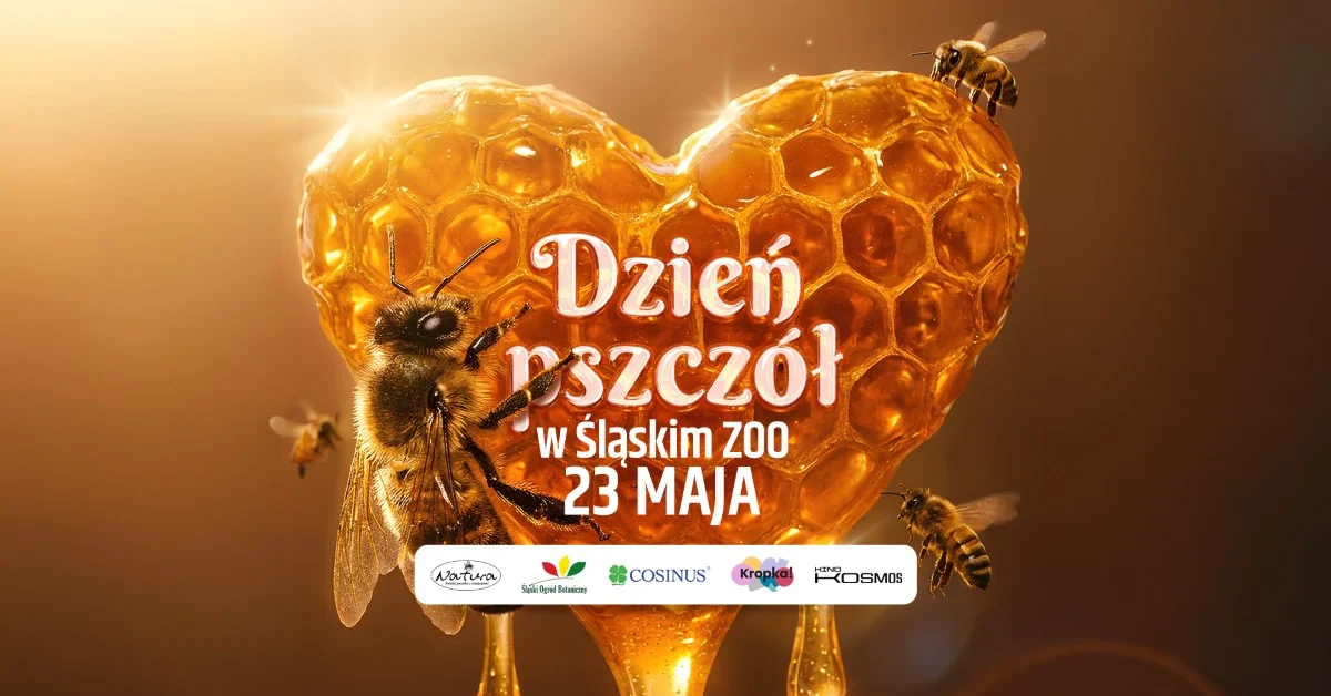 Dzień Pszczół w Śląskim ZOO. Będą warsztaty, miód i rodzinne atrakcje