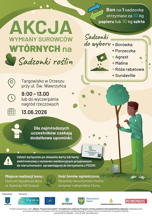 Sadzonki za papier i szkło. Mieszkańcy Orzesza mogą wziąć udział w zielonej akcji / fot. UM Orzesze