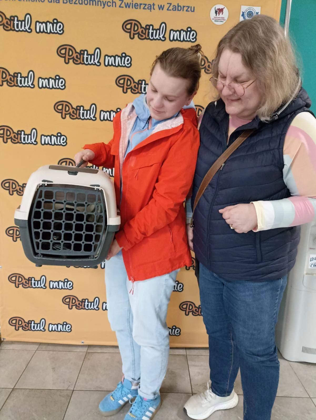 Kolejne adopcje w zabrzańskim Psitulu. Zwierzaki znalazły nowe domy / fot. Psitulmnie