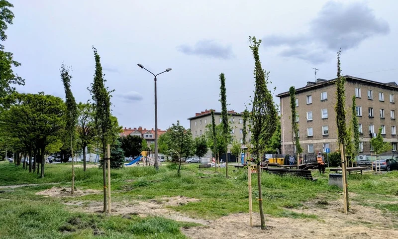 Plac Kopernika będzie bardziej zielony. Ruszyła rewaloryzacja centrum
