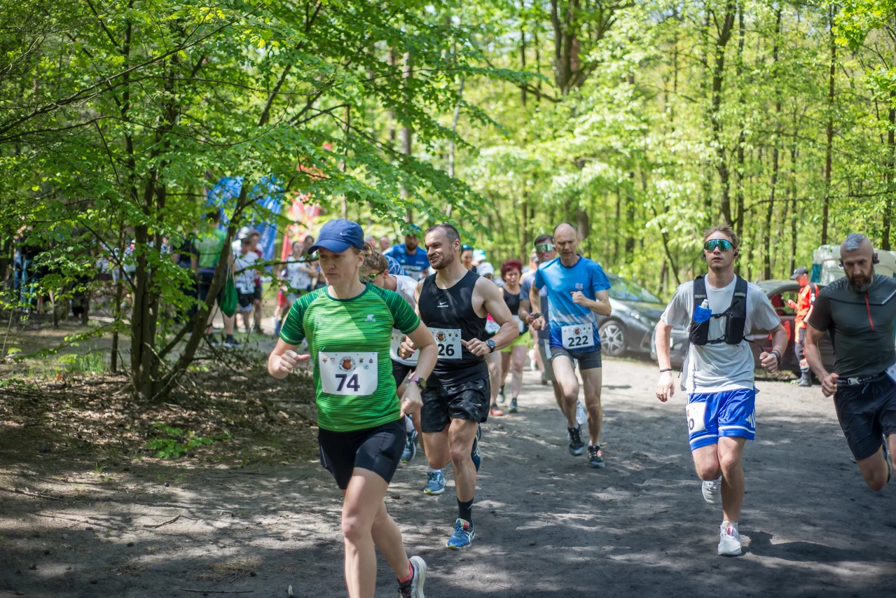 Panewnicki Bieg Dzika - maj 2026