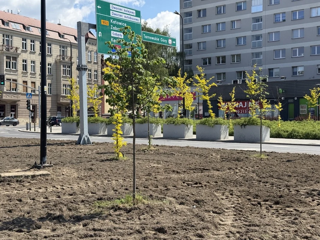 Zielone zmiany na Placu Piastów. Przestrzeń ozdobi 1000 nowych roślin