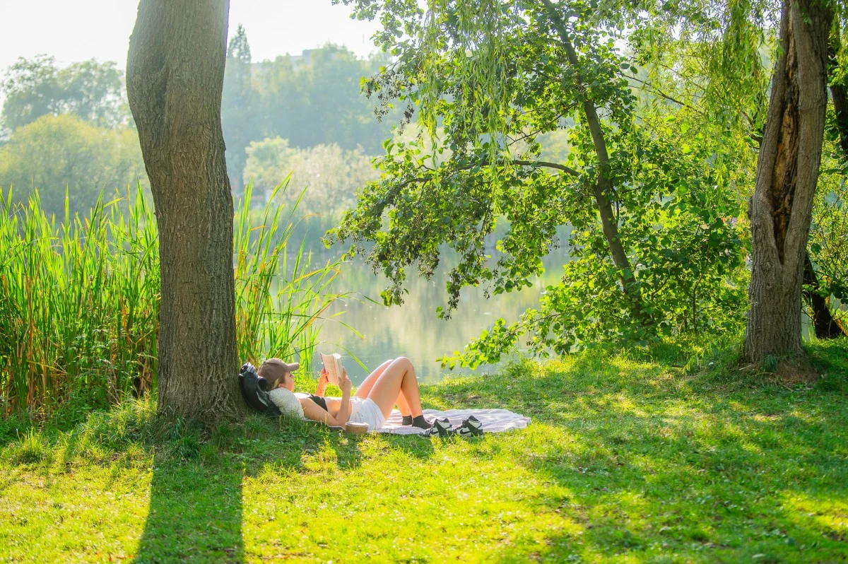 Więcej zieleni w mieście. W Katowicach ogłoszono przetargi na 10 parków kieszonkowych