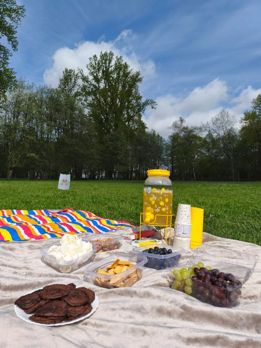 Piknik offline w Katowicach. Spotkanie bez telefonu w Parku Kościuszki / fot. materiały organizatorów