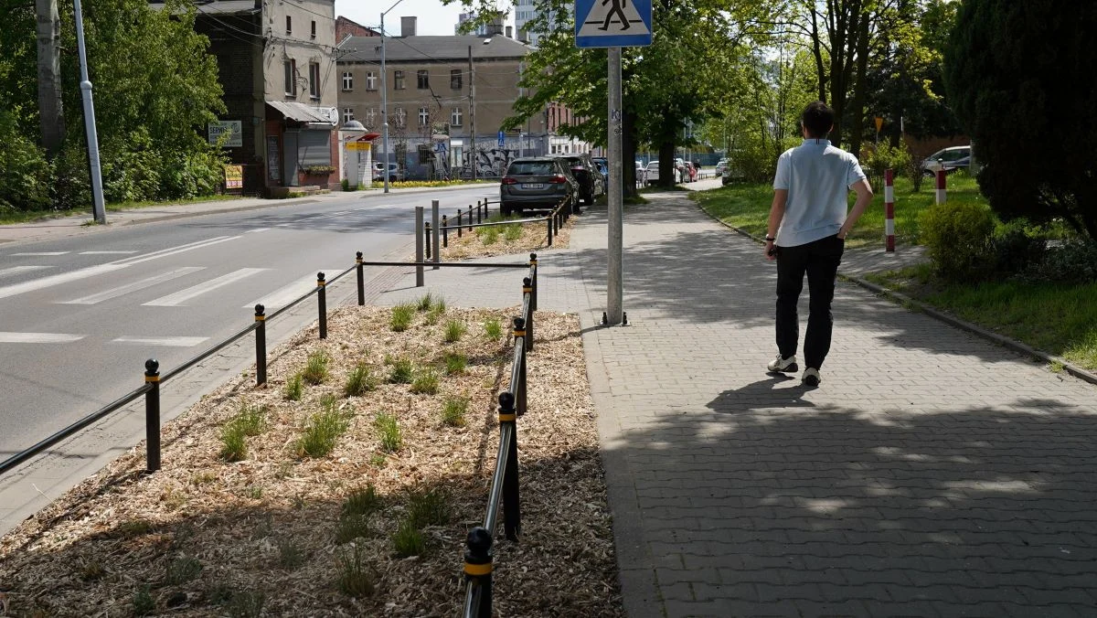 Mniej betonu, więcej zieleni. Katowice zazieleniają odbrukowane miejsca