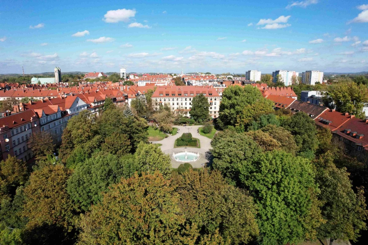 Bliżej miejskiej natury. Ruszają zielone spacery po Bytomiu