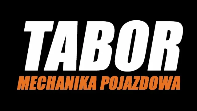 MECHANIKA POJAZDOWA TABOR - mechanik i czyszczenie dpf Stalowa Wola