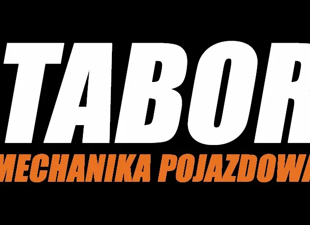 MECHANIKA POJAZDOWA TABOR - mechanik i czyszczenie dpf Stalowa Wola