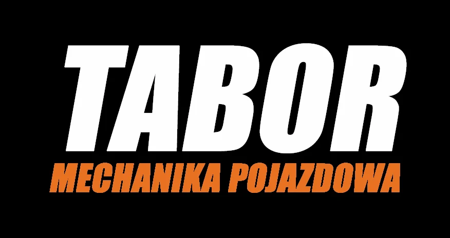 MECHANIKA POJAZDOWA TABOR – mechanik i czyszczenie dpf Stalowa Wola