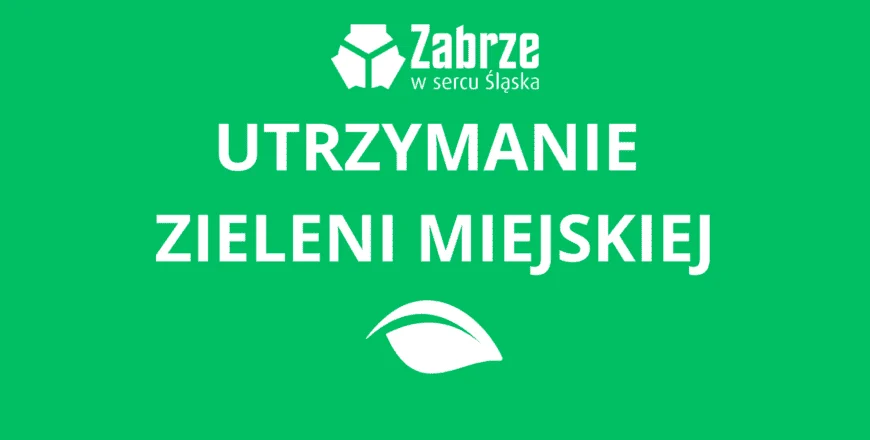 Wiosna w pełni. Trwa koszenie traw w Zabrzu