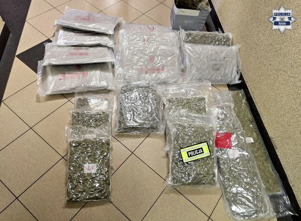 Ponad 22 kilogramy marihuany w mieszkaniu w Bytomiu. 29-latek trafił do aresztu