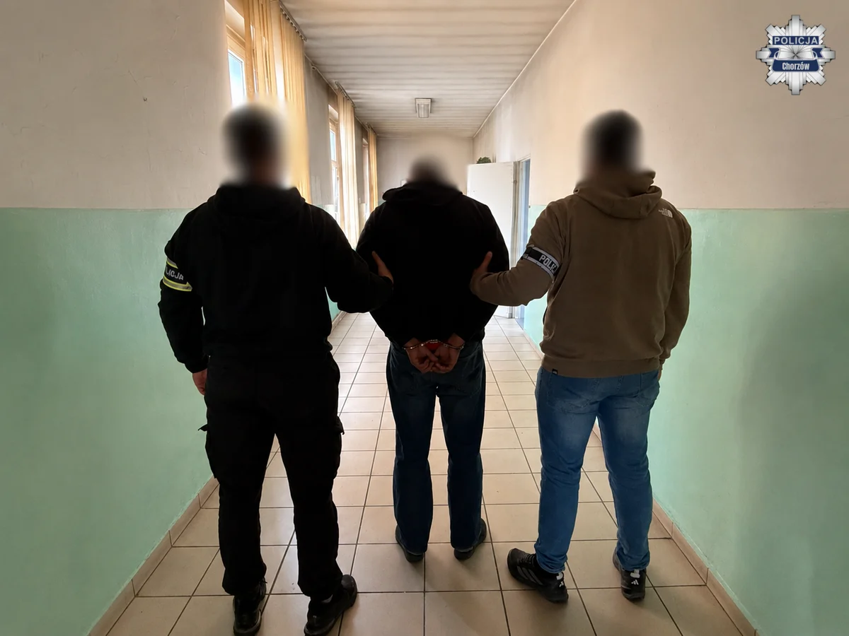 44-latek zatrzymany na gorącym uczynku. 17 zarzutów i seria poważnych przestępstw (1)